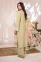 Pakistani Plus Size Dress