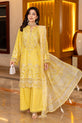 Pakistani Plus Size Dress