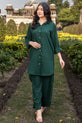 Elegant Pakistani Plus Size Dress