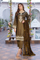 Plus Size Pakistani Dress