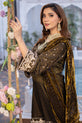 Pakistani Winter Dress