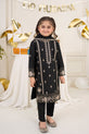 Delicate embroidery Dress