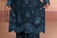Elegant Panelled Pakistani Plus Size Dress 