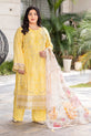 Pakistani Summer Dress