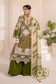 Pakistani Plus Size Dress