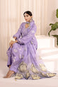 Pakistani Plus Size Dress 