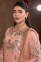 Pakistani Mehndi Peach Dress