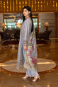 Pakistani Plus Size Dress 