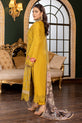 Pakistani Winter Dress