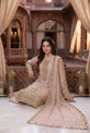 Silk Pakistani Mehndi Dress