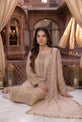 Silk Pakistani Plus Size Dress