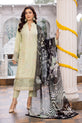 Pakistani Party Wear Dress