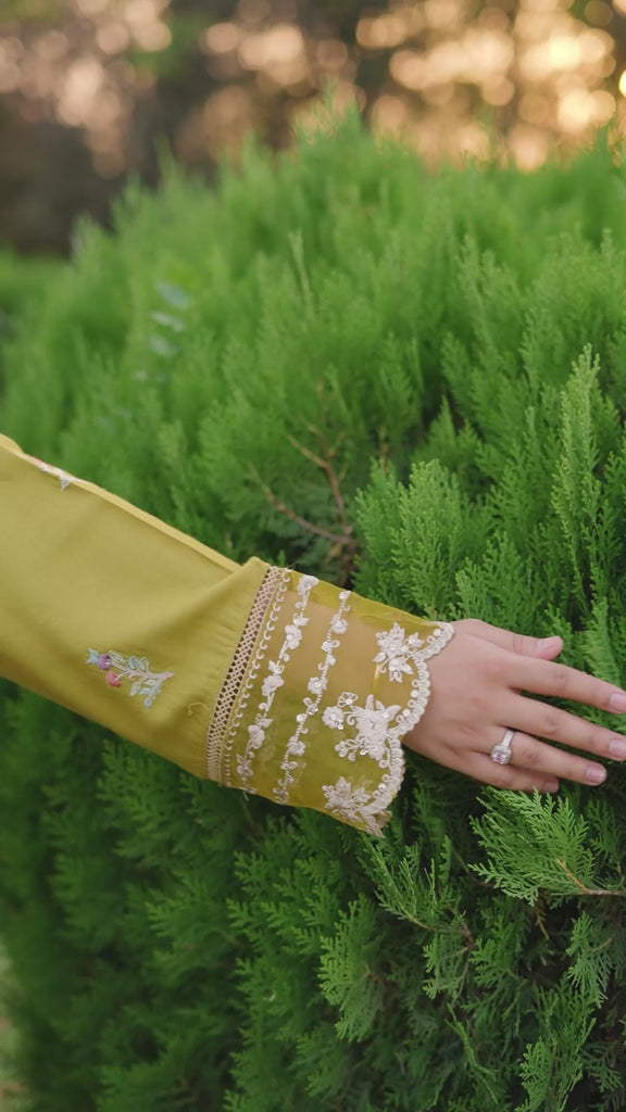 Pakistani Designer Dresses